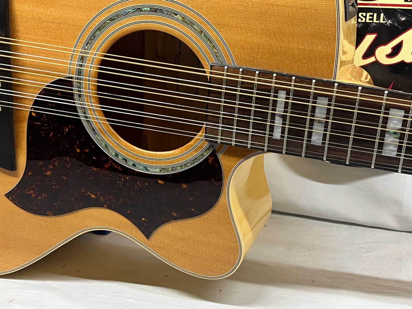 Takamine EG523SC-12 12-String Acoustic Electric Guitar - Crack in the Back