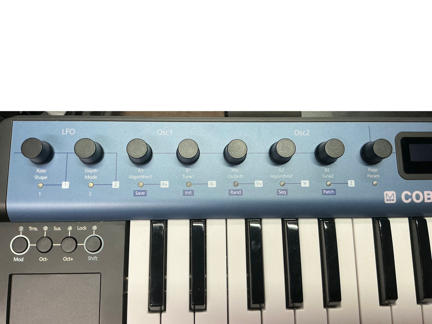 Modal Electronics Cobalt 5S 5 Voice Extended VA Synthesizer Keyboard