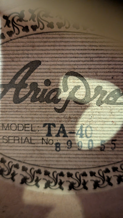 Aria Pro II TA-40 Semi-Hollow Electric Guitar