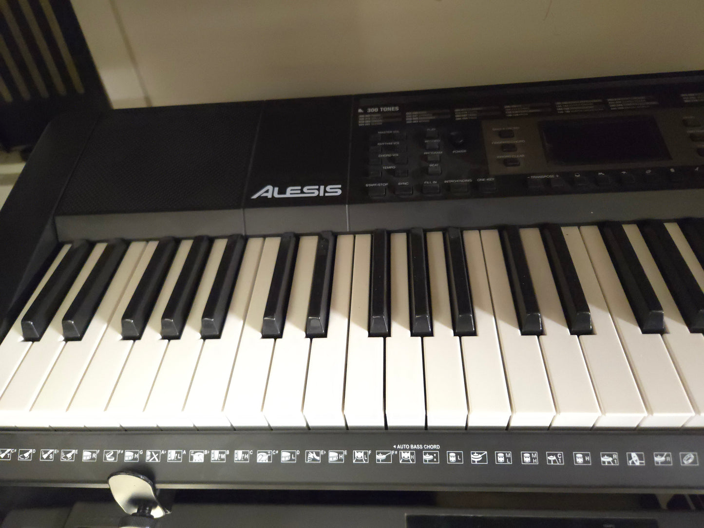 Alesis Melody 61 Keyboard - Local Pickup Only