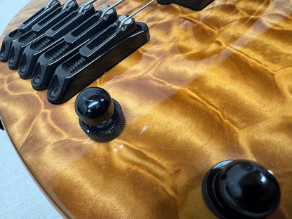 Parker USA FB-5 fb5 Fly 5-string Bass