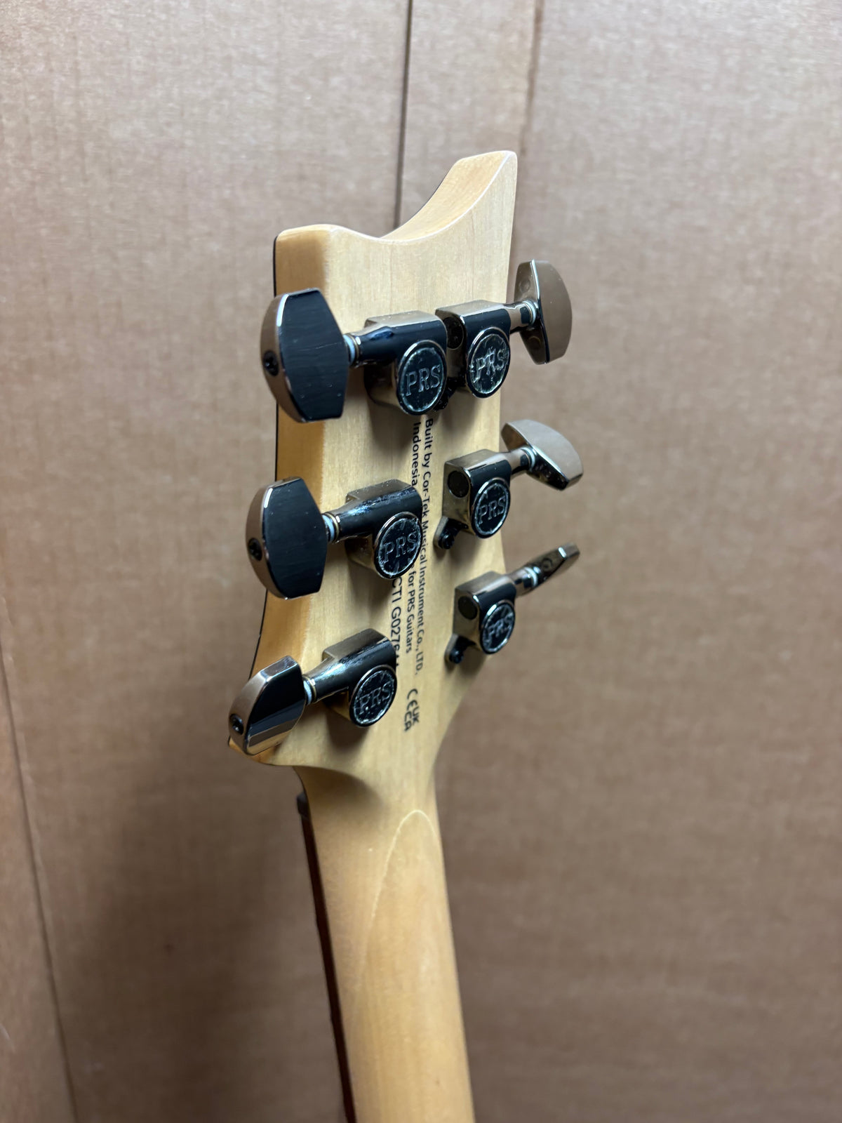 PRS SE Swamp Ash CE 24 - Sandblasted Limited Edition - Green