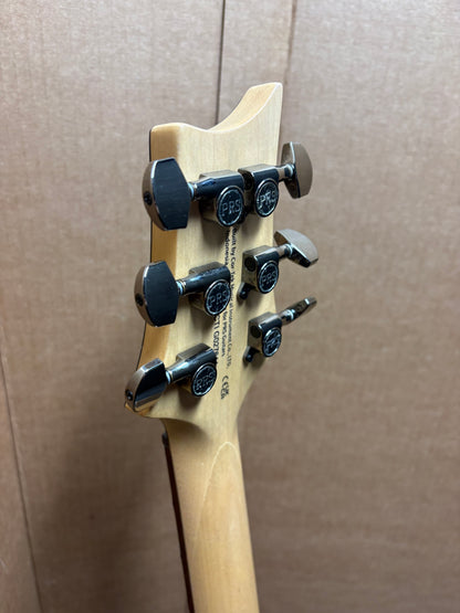 PRS SE Swamp Ash CE 24 - Sandblasted Limited Edition - Green