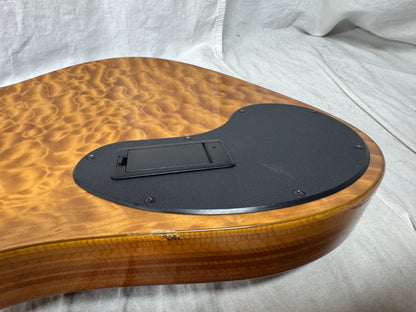 Parker USA FB-5 fb5 Fly 5-string Bass
