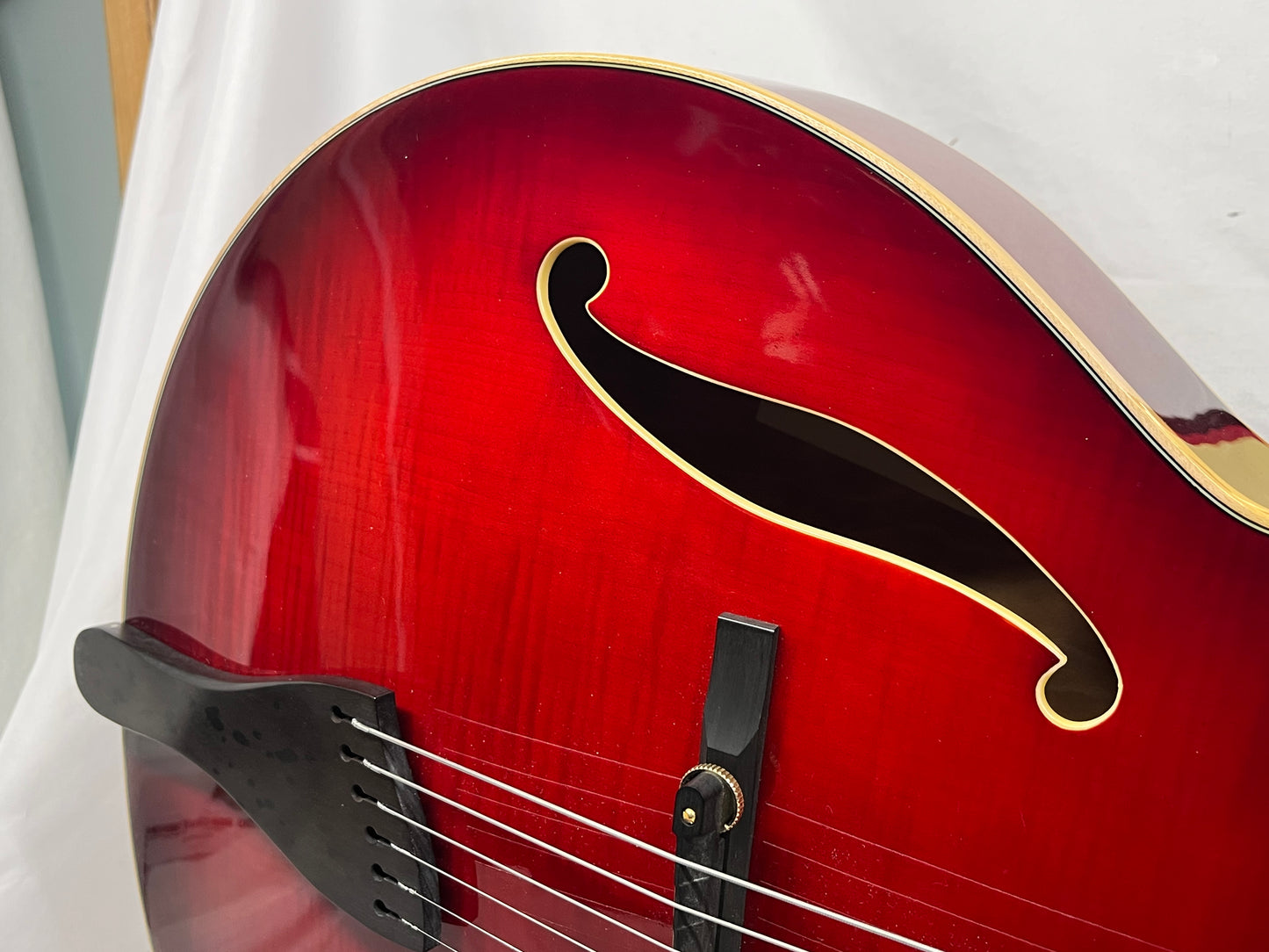 Peerless Leela Arctop Hollow Body Electric Guitar with Hard Case