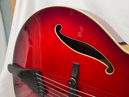 Peerless Leela Arctop Hollow Body Electric Guitar with Hard Case