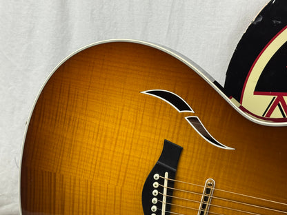 Taylor Thinline T5C1 t5 c1 Hollow Body Guitar with Case 2013