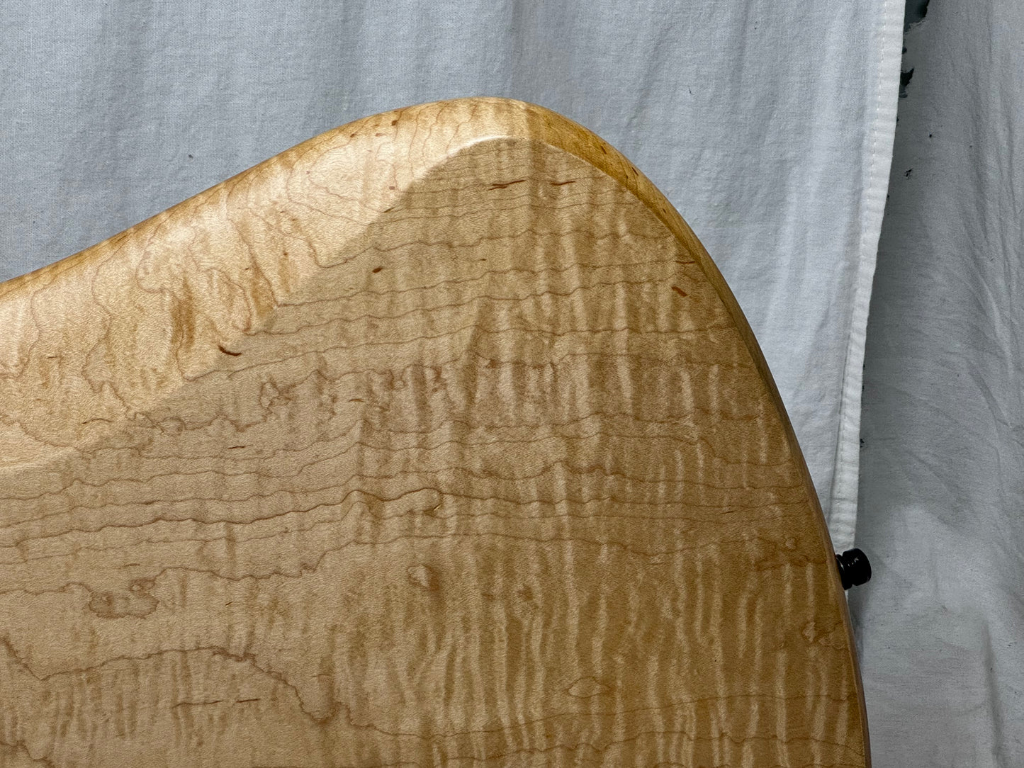 Prat Custom 5-string Bass with Wolfpak Soft Case