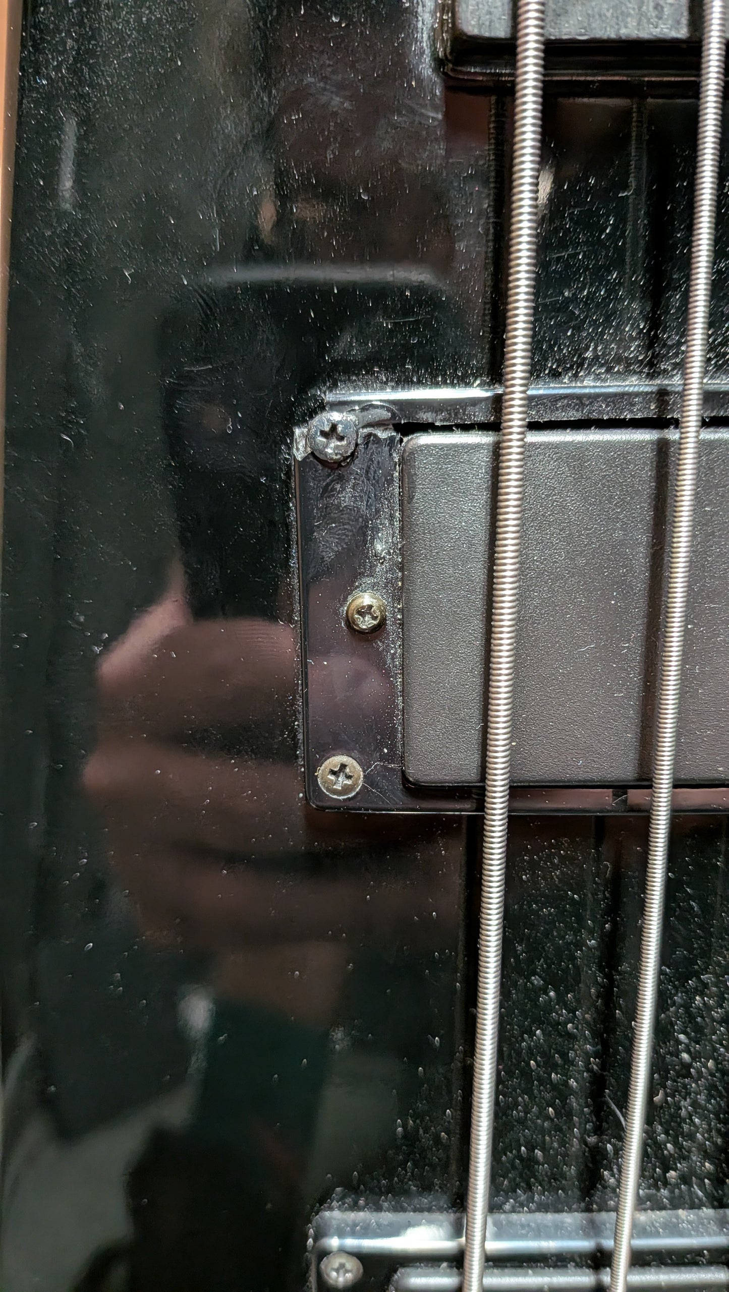 Steinberger Spirit XT-2DB Headless Bass Guitar