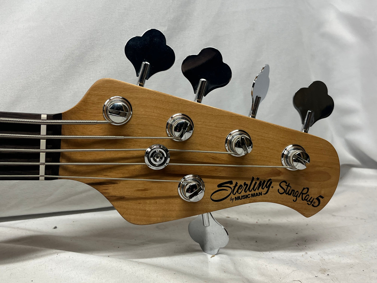 Sterling Music Man Stingray 5 5-String Electric Bass