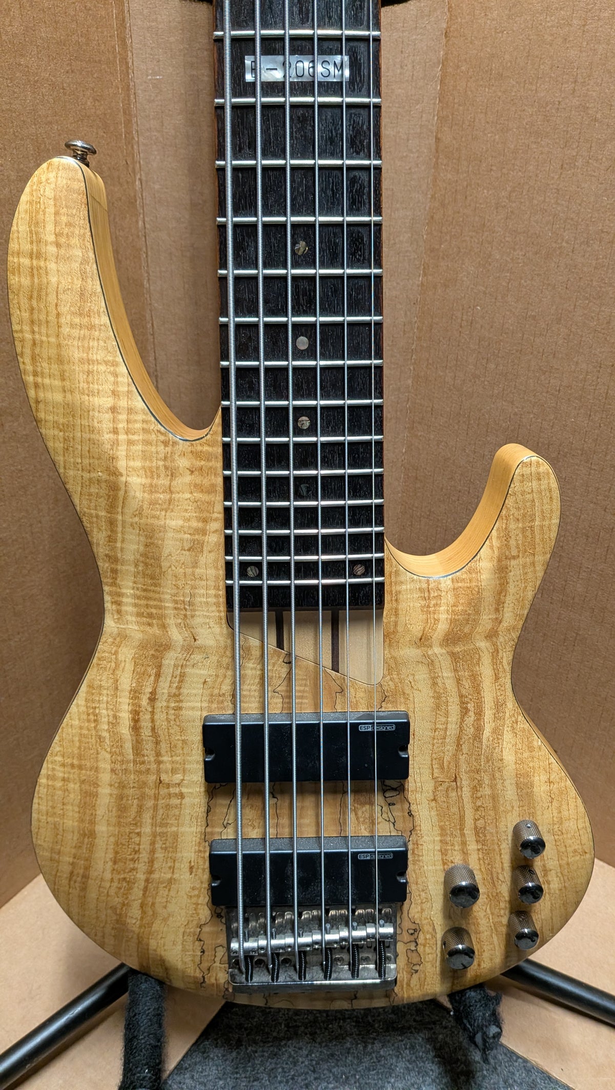 ESP LTD B-206SM 6-String Bass Guitar