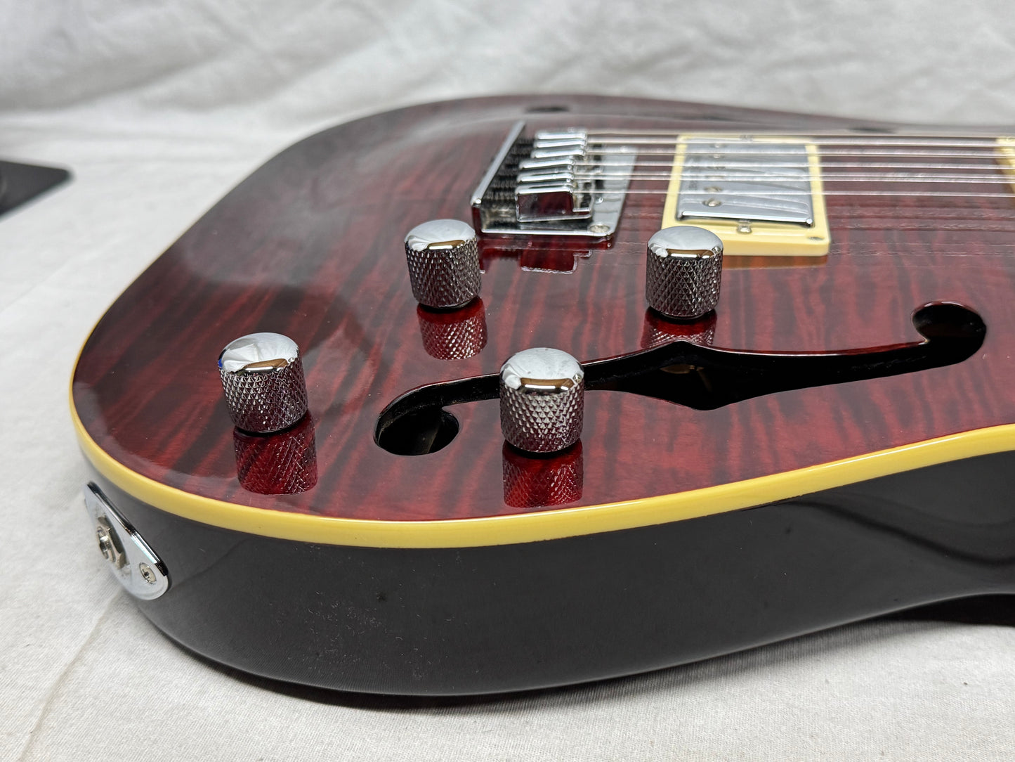 Schecter Diamond Series C/SH-12 Semi-Hollowbody 12-string Guitar with Case 2005