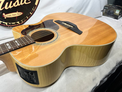 Takamine EG523SC-12 12-String Acoustic Electric Guitar - Crack in the Back