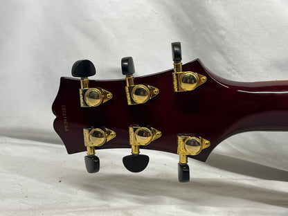Peerless Leela Arctop Hollow Body Electric Guitar with Hard Case