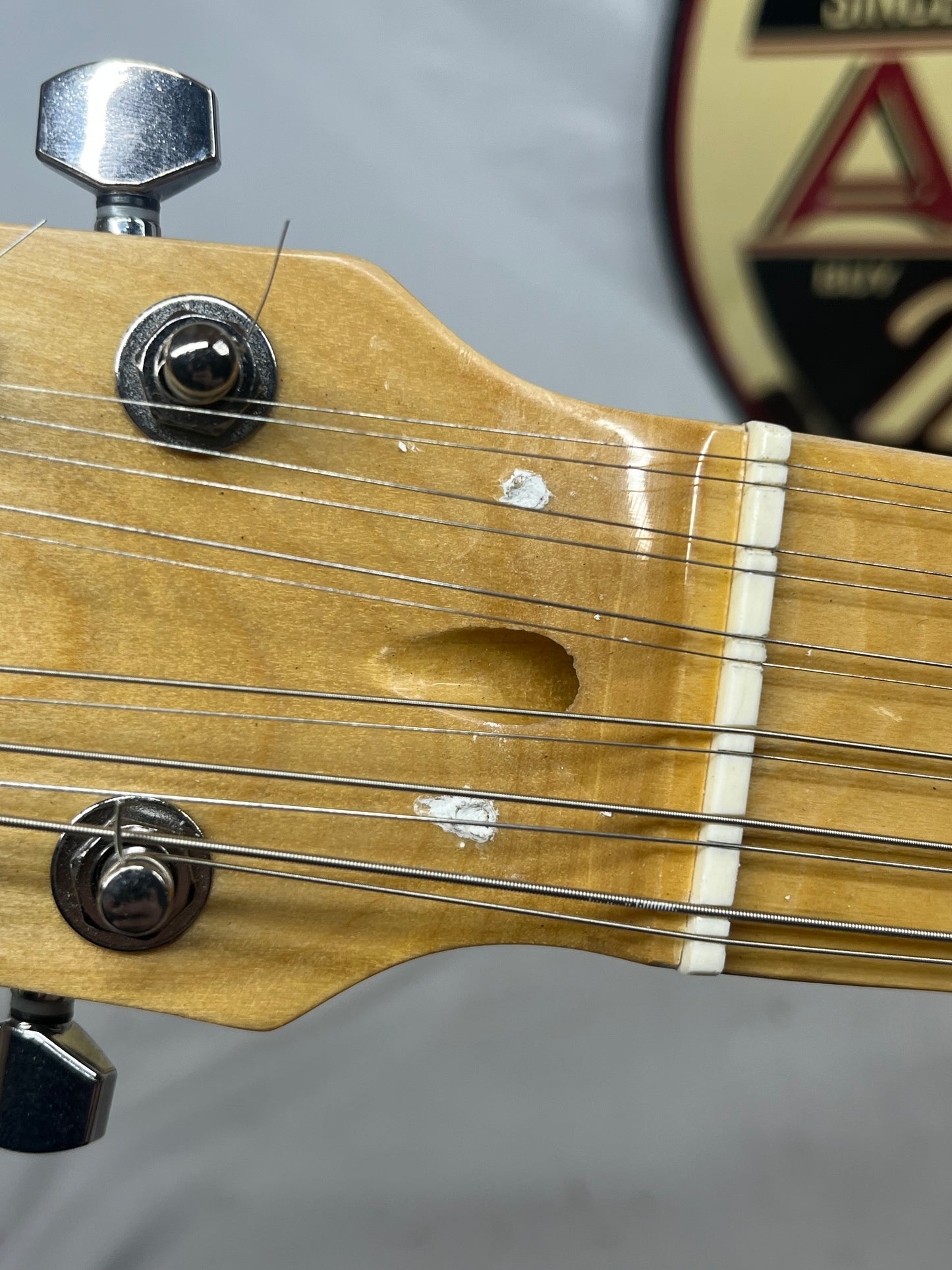 Cozart 12-String Semi-Hollow Body Singlecut Electric Guitar