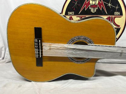 Esteban Granada Classical Acoustic Guitar and G10 Amplifier Like New