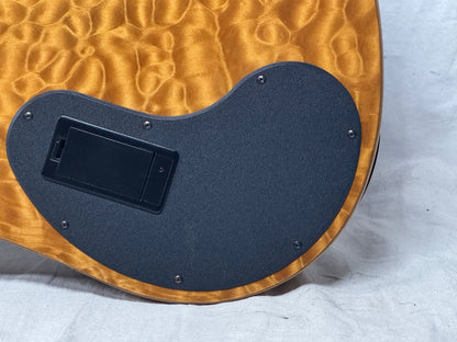 Parker USA FB-5 fb5 Fly 5-string Bass