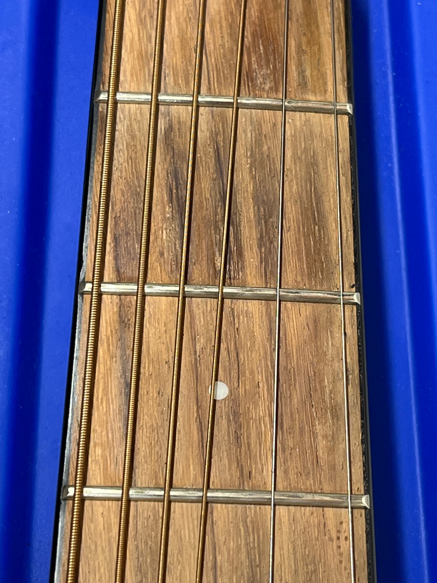 Cort Earth E NS Acoustic Guitar
