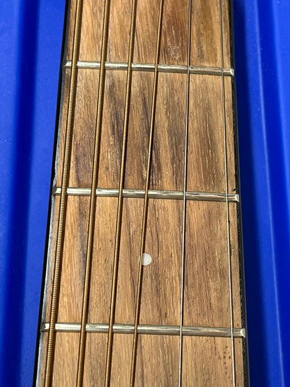 Cort Earth E NS Acoustic Guitar