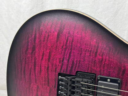 PRS Paul Reed Smith Dusty Waring Signature CE24 ce 24 Guitar