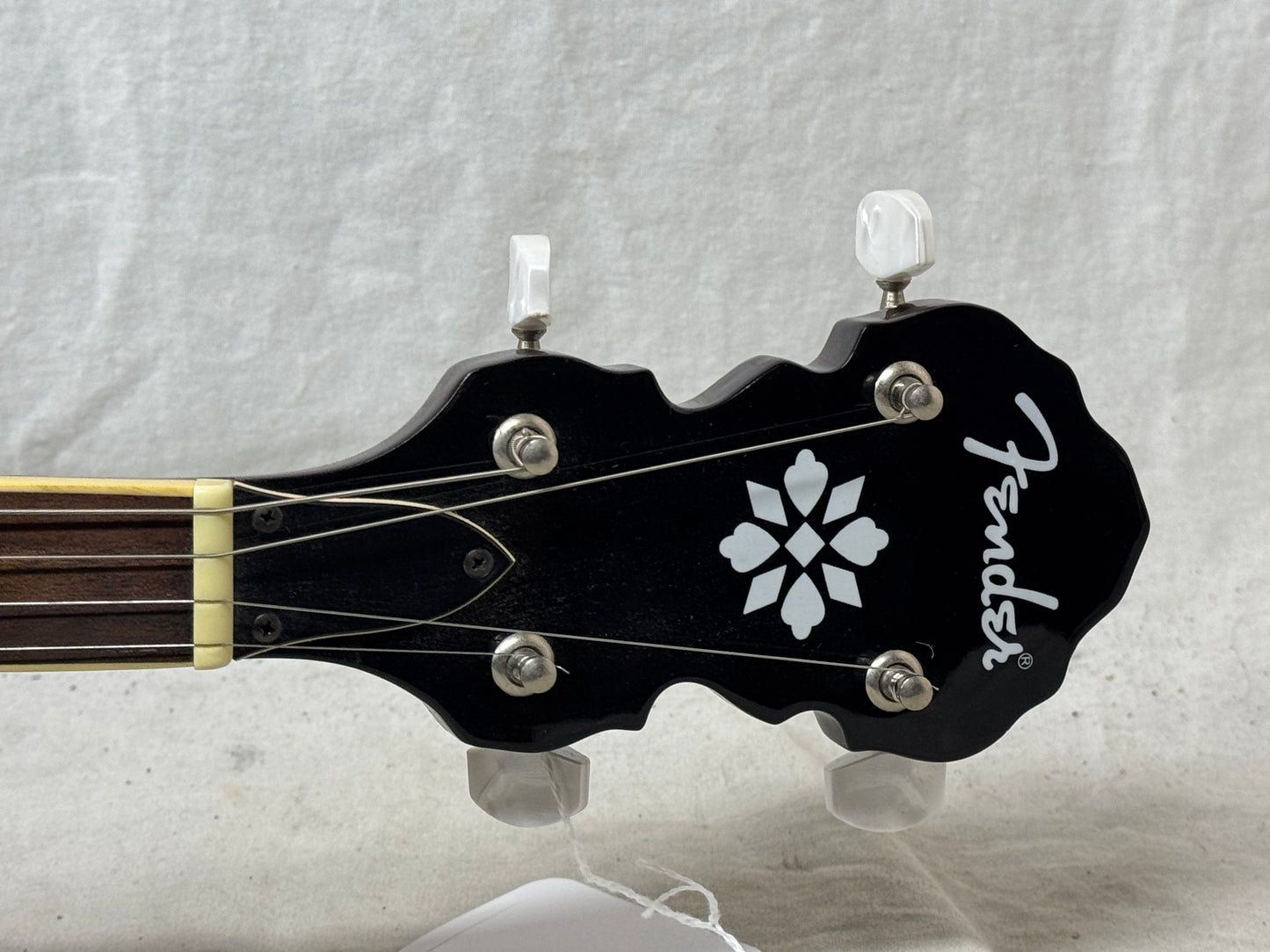 Fender FB-54 fb54 5-string Banjo with Case 2008