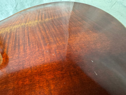 Eastman T58/V t 58 Archtop Hollowbody Guitar with Case