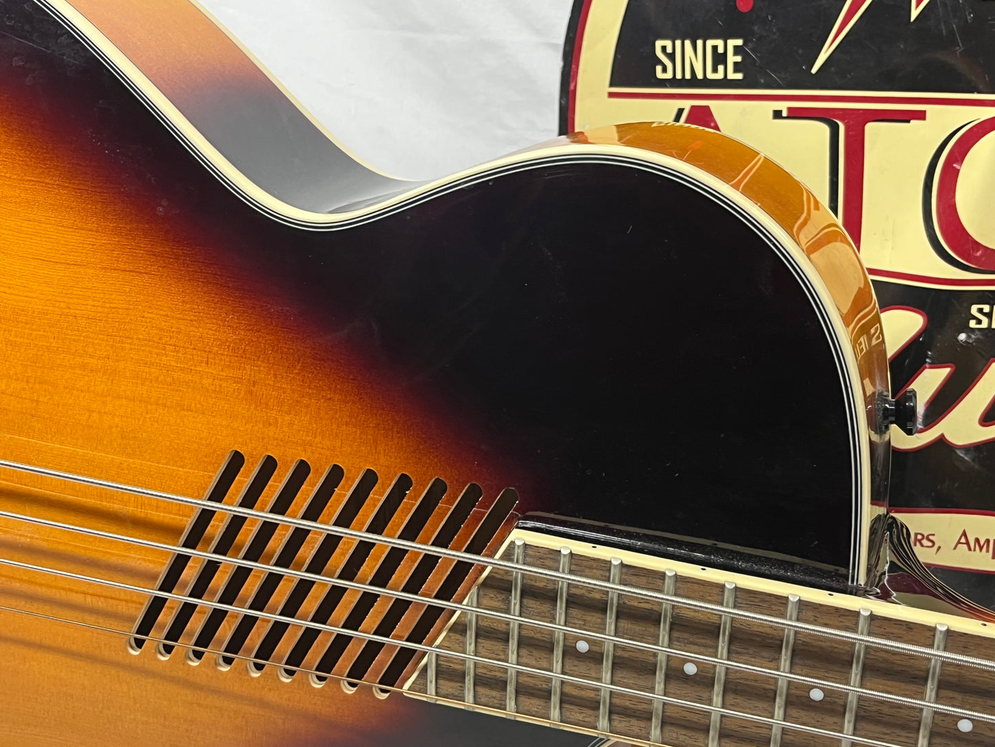 Washburn AB40VSK Singlecut Acoustic Electric Bass