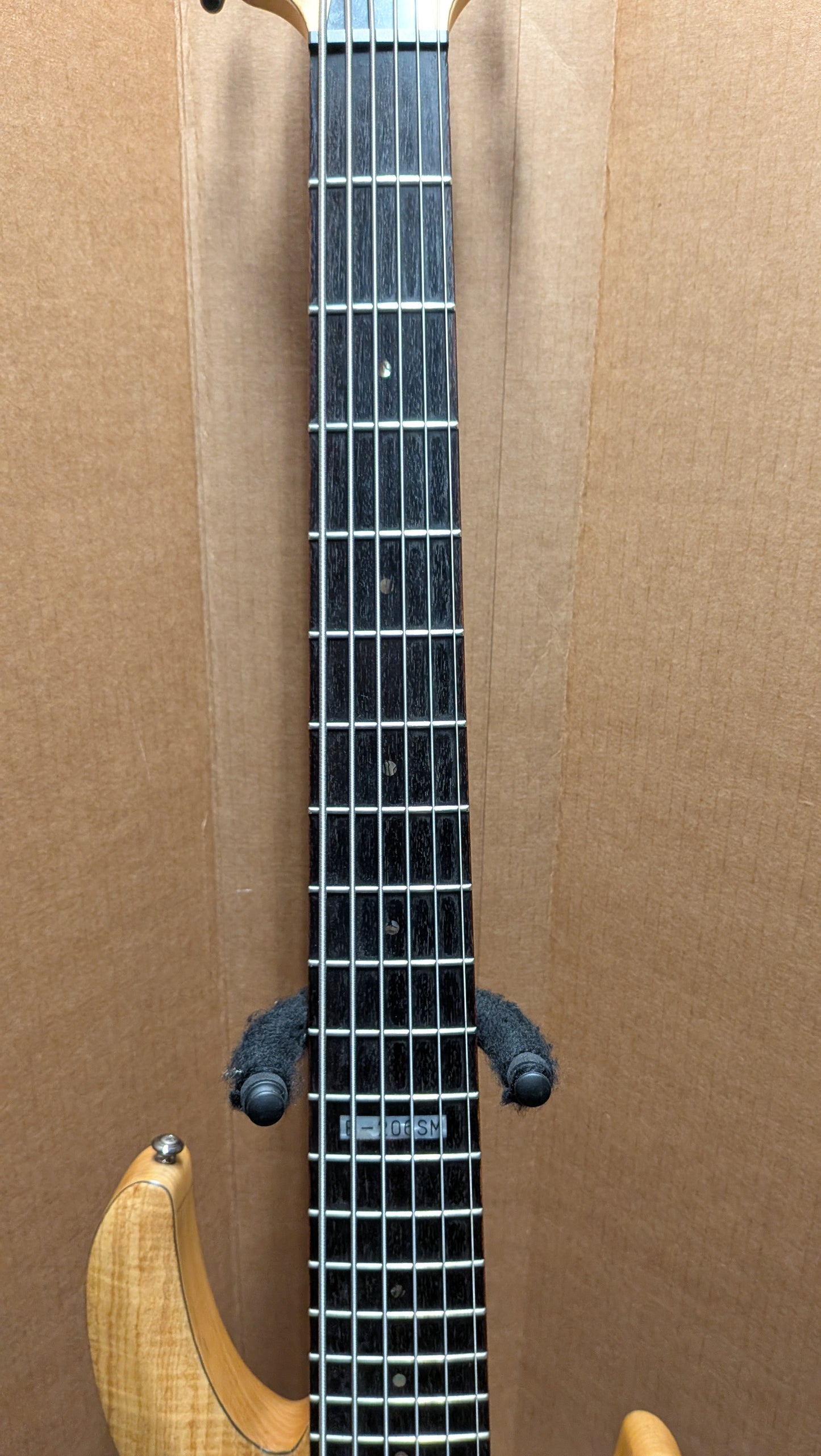 ESP LTD B-206SM 6-String Bass Guitar