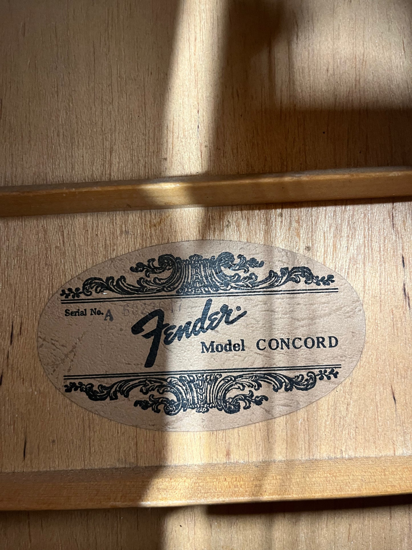 Fender California Series Concord Acoustic Guitar