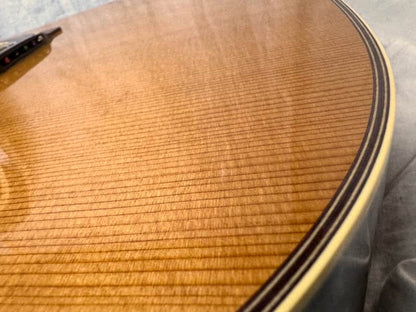 Takamine TAN15C Electric-Acoustic Guitar with Case - MIJ Made In Japan - Image 21