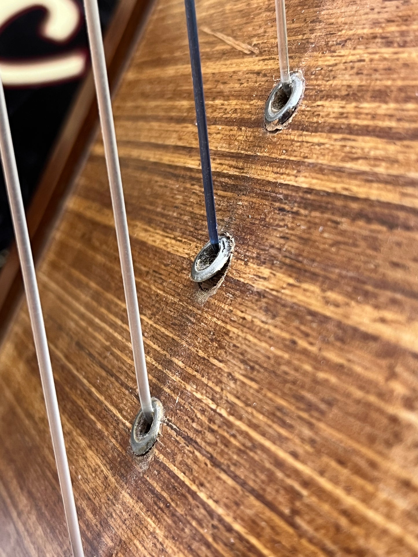 Roosebeck Heather Harp 22-String with Bag