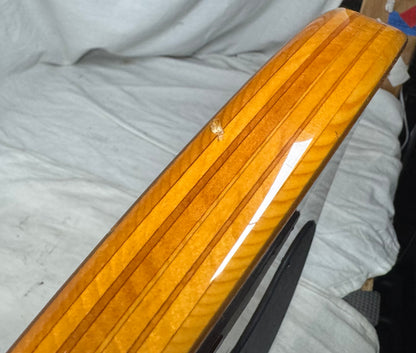 Parker USA FB-5 fb5 Fly 5-string Bass