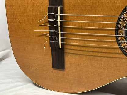 La Patrie (Godin) Motif Classical Acoustic Guitar