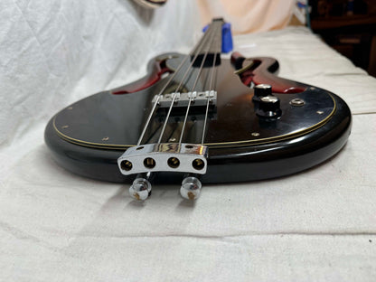 Ampeg AEB-1 aeb1 4-string Scroll Bass with Gig Bag
