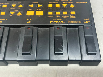 Roland GR-1 Guitar Synthesizer
