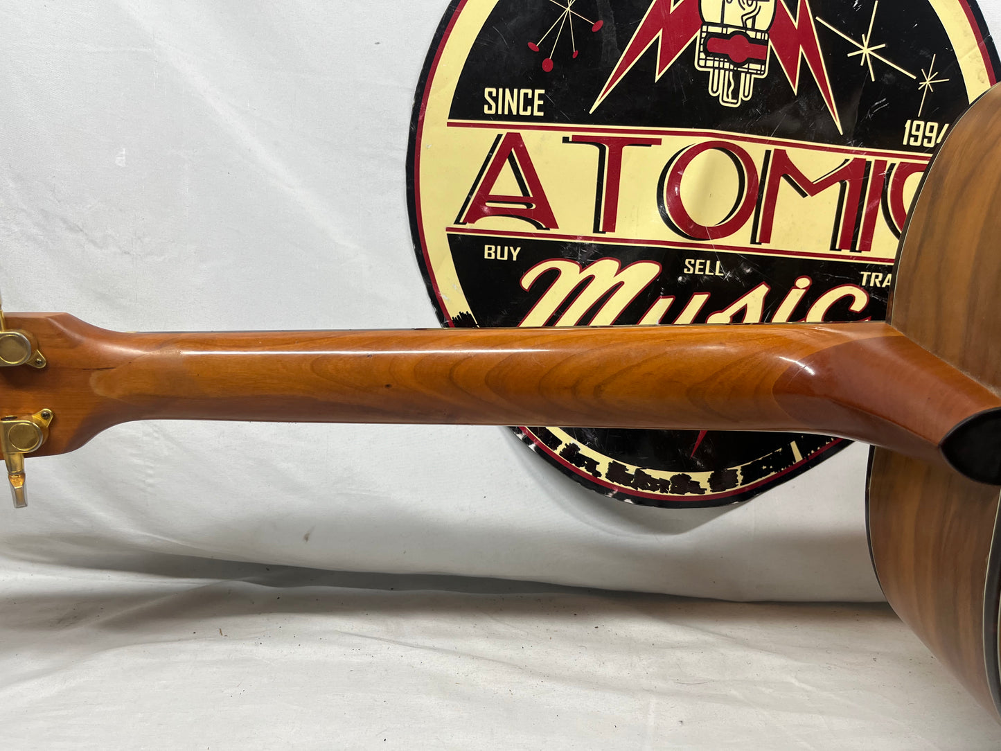 American Acoustech ESVL-1 Acoustic Guitar