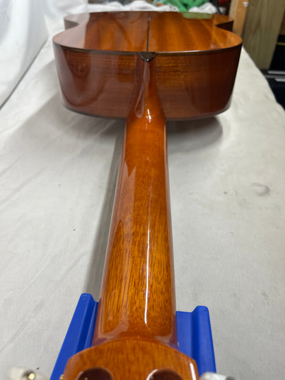 Cordoba Iberia Series C5 Classical Acoustic Guitar