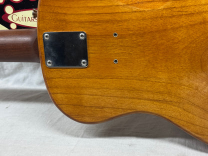 Weir Guitars Poor Boy Guitar