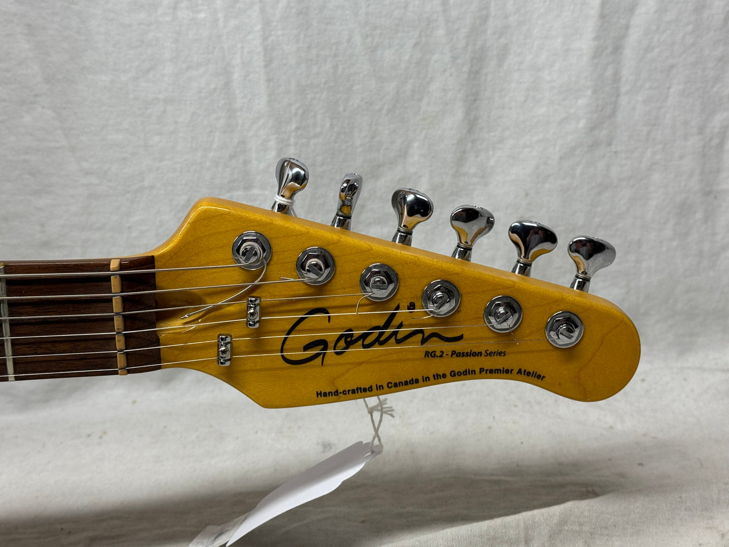 Godin Passion Series RG.2 rg2 rg-2 Guitar 2012
