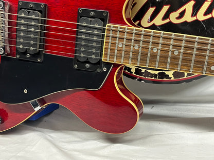 Discovery Semi-Hollow Body Electric Guitar