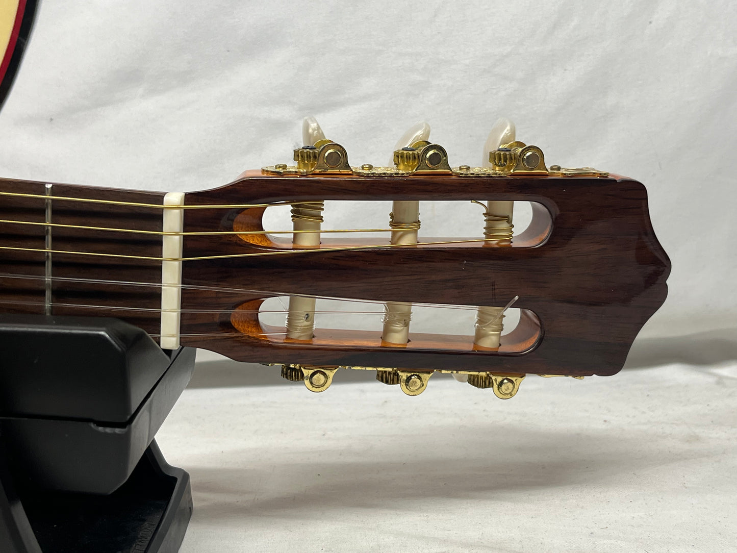 Cordoba Iberia Series C5 Classical Acoustic Guitar