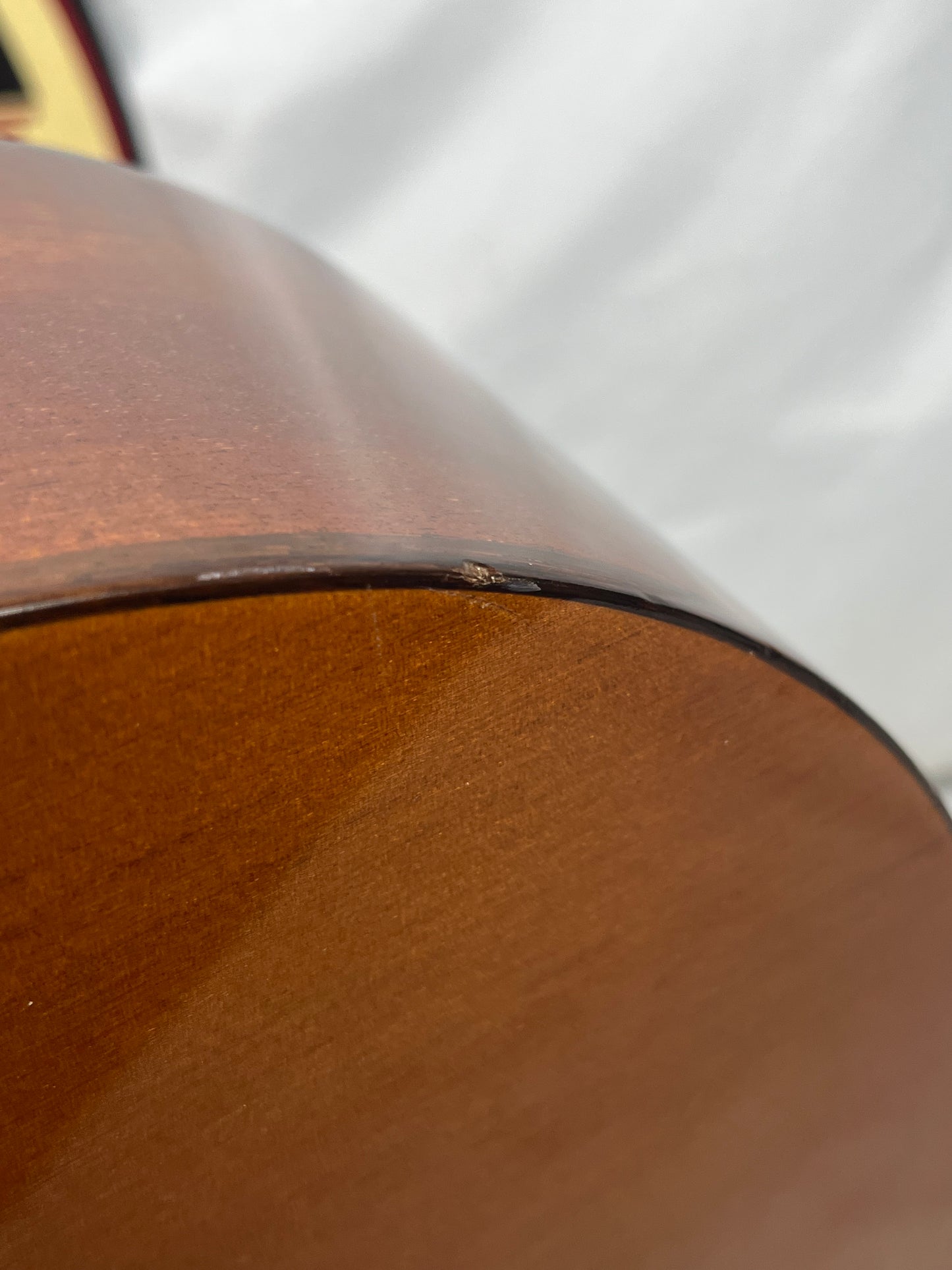 Cordoba Iberia Series C5 Classical Acoustic Guitar