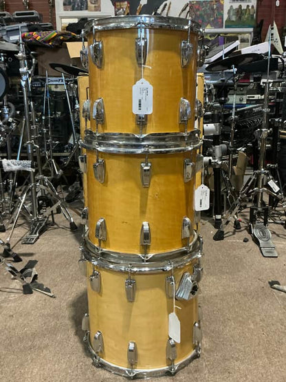 Ludwig Thermogloss