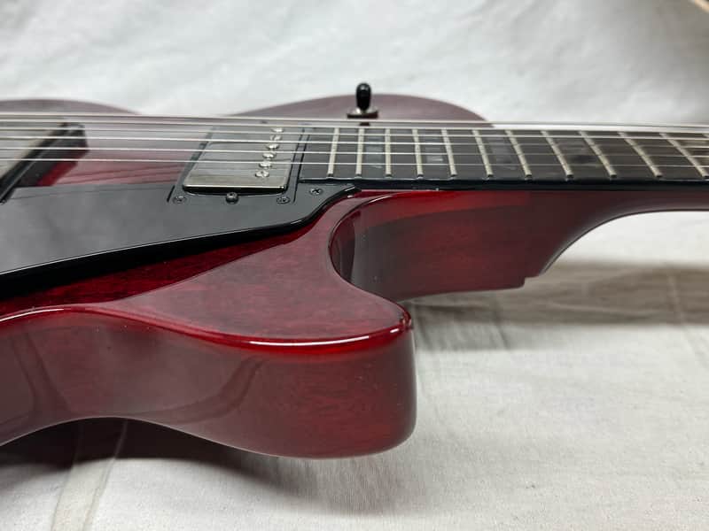 Gibson LPSTDG25WRBN3 Les Paul Studio Dark Guitar with Gig Bag - Image 16
