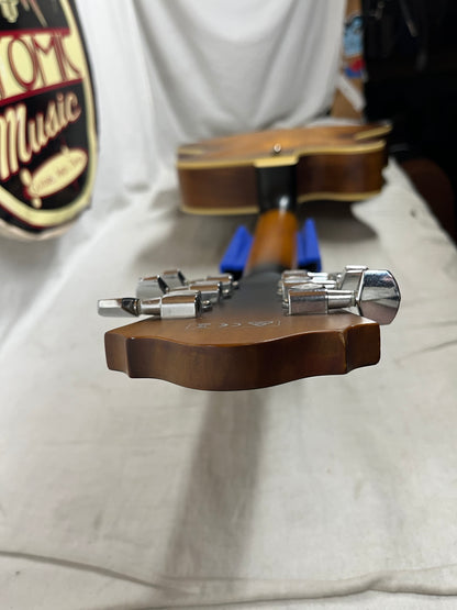 Ibanez AF55 Hollow Body Electric Guitar