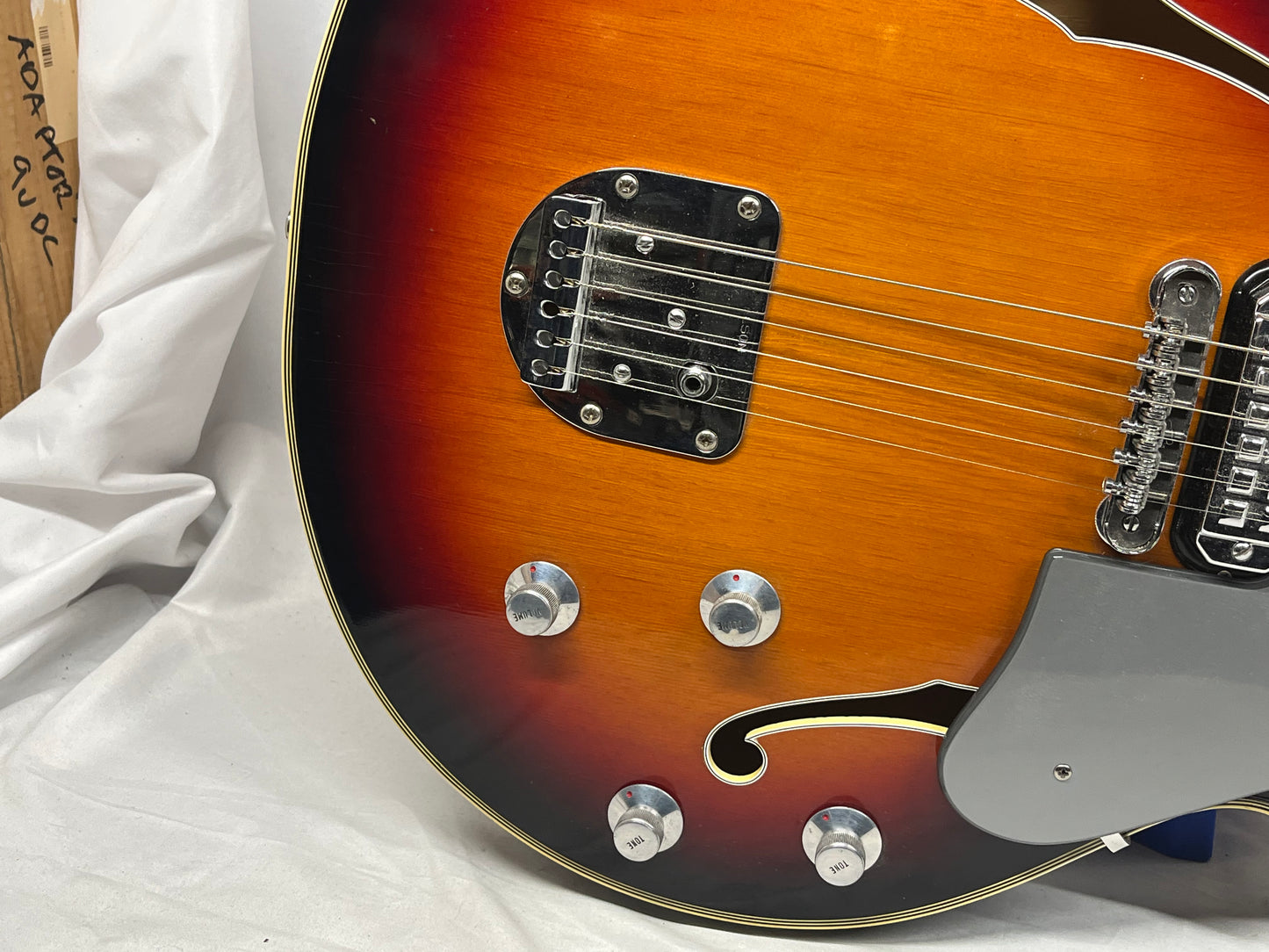 Welson 1960s DS2 Vintage Hollow Body Electric Guitar