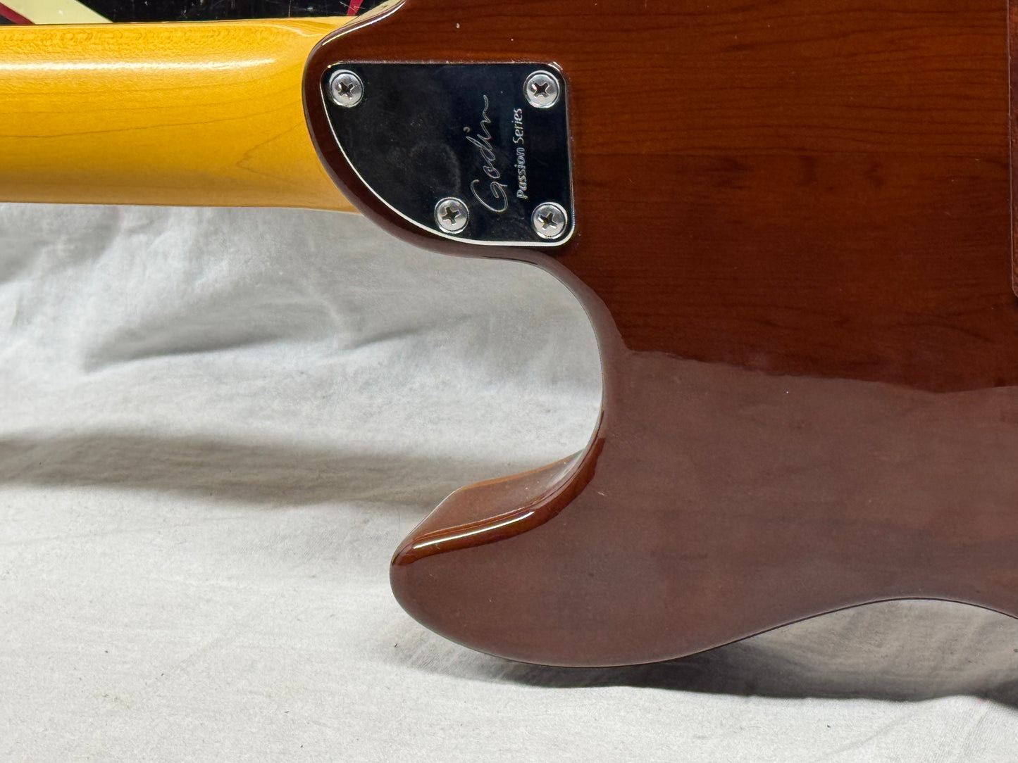 Godin Passion Series RG.2 rg2 rg-2 Guitar 2012