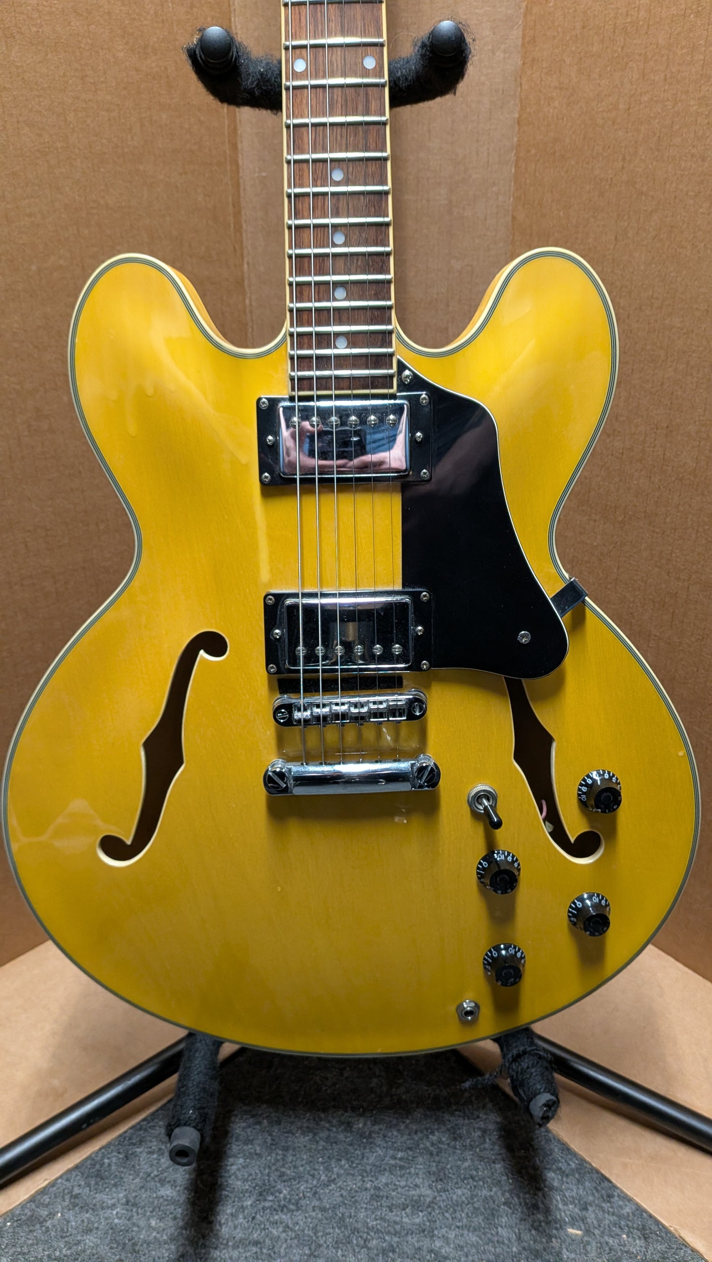 Jay Turser Semi-Hollow Electric Guitar