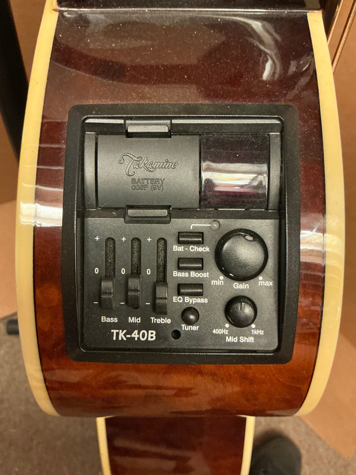Takamine EGB255SC Acoustic Bass Guitar