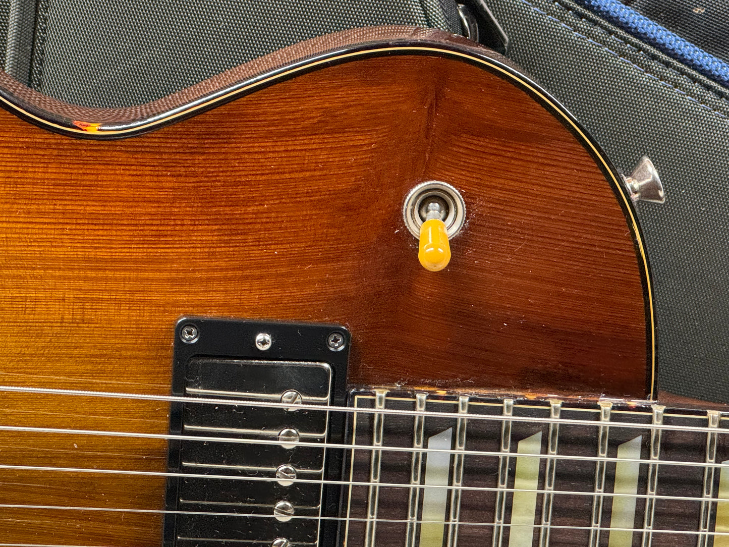 Ronin Limited Build Palus Mourn Singlecut Guitar with Gig Bag
